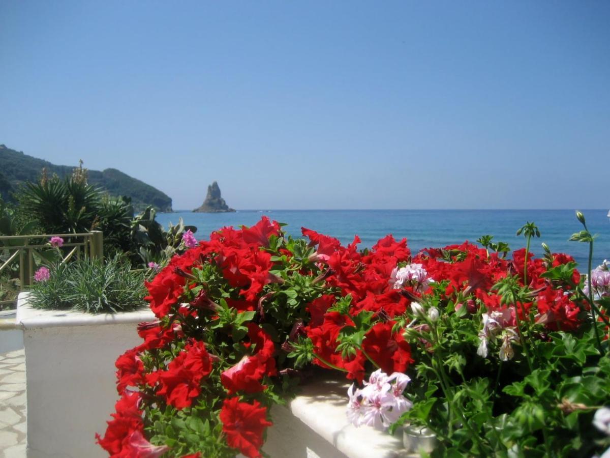 Nereides Apartments Agios Gordios (Corfu) Exterior foto